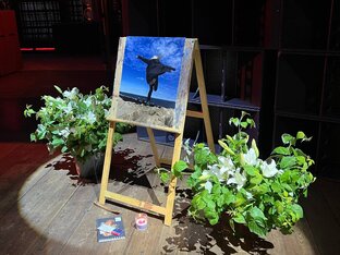 Арина. Смерть дочери.