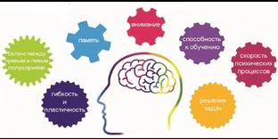 Обучение, запоминание, тренировка памяти 