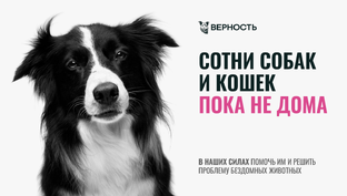 Пока не дома. Подкасты.