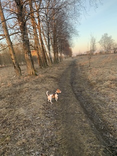 Апрель