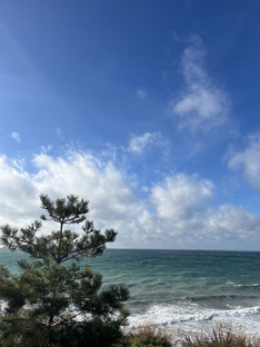 Путешествия