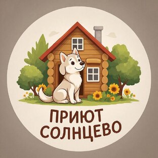 Собаки из приюта Солнцево 🦮