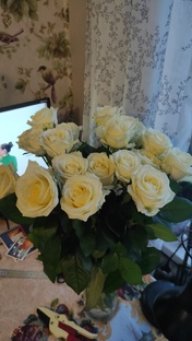Природа, деревня