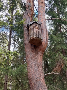 Колодное пчеловодство 