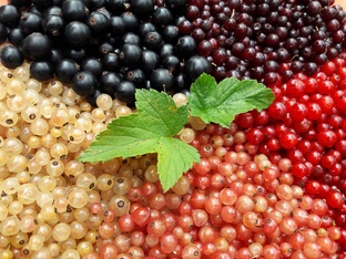 Размышления обо всём.