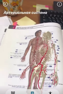 AR для обучения