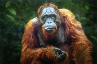 Мысли вслух.