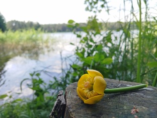 Селигерское