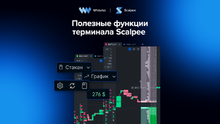 О терминале Scalpee