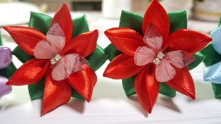 🎀Заколки🎀