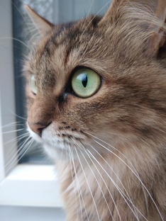 Лечение Мани и Масика 2 года назад, в 2022. 