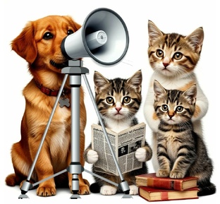 РАЗНОЕ▪️ИТОГИ▪️ОТЧЕТЫ▪️НОВОСТИ