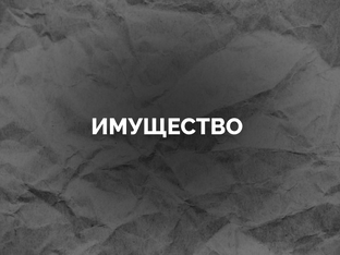 Банкротство и имущество должника