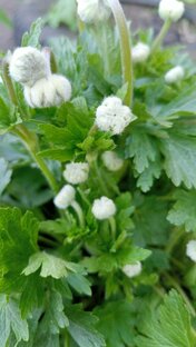 Окружающий мир 