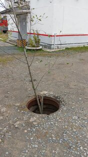 Короткие анекдоты