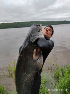 Охота на сома 