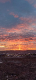 БотоХроники