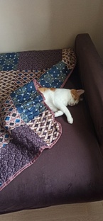 Коплю на квартиру 🏠