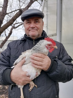 Птицеводство