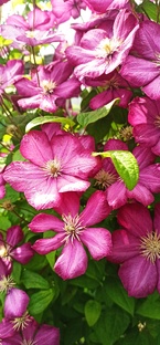 НАСТРОЕНИЕ 🤣