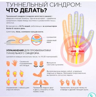 Гимнастика