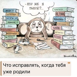 Ярмарка выбора