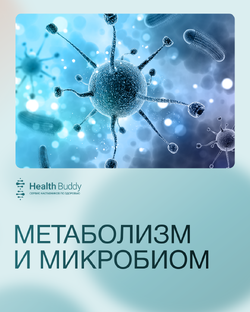 Метаболизм 