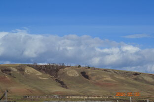 Жизненные рассказы