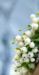 Прогнозы для всех знаков Зодиака на 2026 год