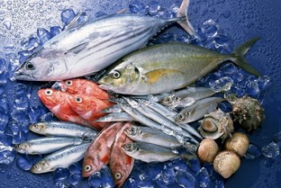 Интересные факты о рыбе и не только