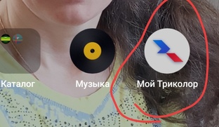  Спутниковое ТВ Триколор.