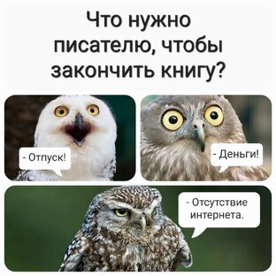 Писательские мемы