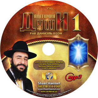 Анатомия Души | Рабби Даниэль Коэн
