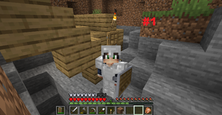 Выживание Minecraft