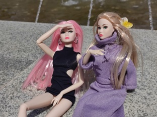 «Дневник куклы»