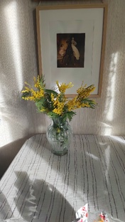 Весна пришла 