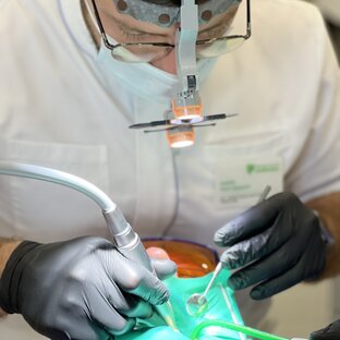 Профессиональная гигиена полости рта