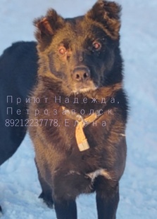 Ася, черненькая