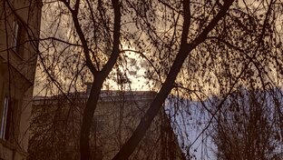 Даниэль Рымбельский