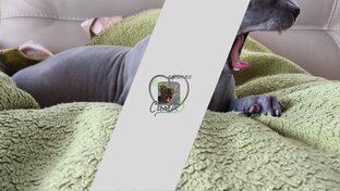 Трейлеры к фильмам, которые я посетила и рекомендую Вам!