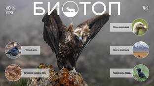 PDF версии журнала "Биотоп"