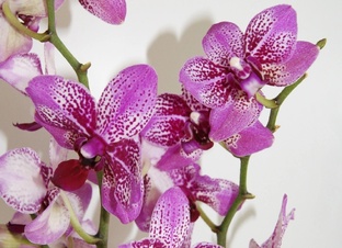 Продажа излишков 