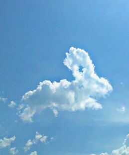 Летнее воспитание волей