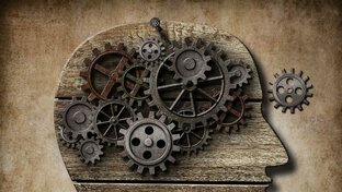 Психологическое просвещение