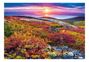 "Природа Кольского полуострова" 