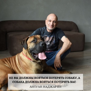 Факты о собаках