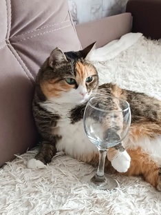 Жизнь
