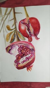 Рубрика Вопросы и Ответы