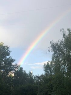 Марина Зеболова. 8 Видео-стихов на Дзене