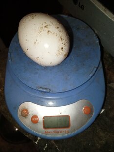 Проклятия и порча